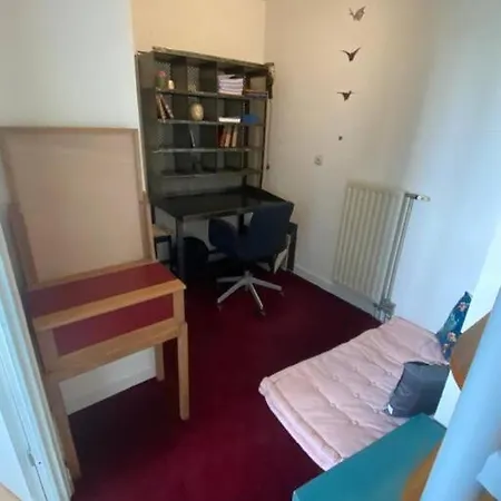 Apartment 3 Chambres Duplex Lyon
